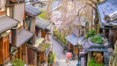 Best Kyoto Private Guided Tours