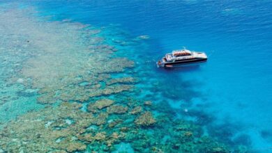Best Great Barrier Reef Cruises