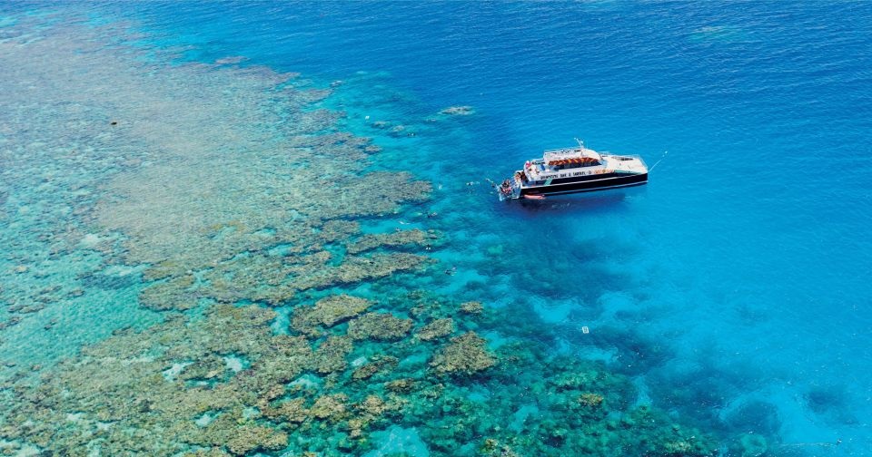 The 7 Best Great Barrier Reef Cruises [2025 Reviews] World Guides To