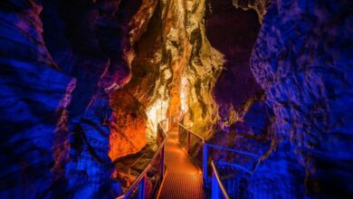 Best Waitomo Caves Tours