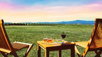 Best Yarra Valley Wine Tours From Melbourne