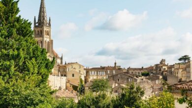 Best Bordeaux Wine Tours