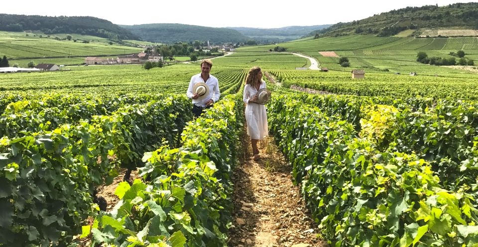 Best Burgundy Wine Tours