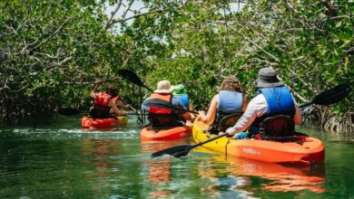 Best Key West Kayaking Tours