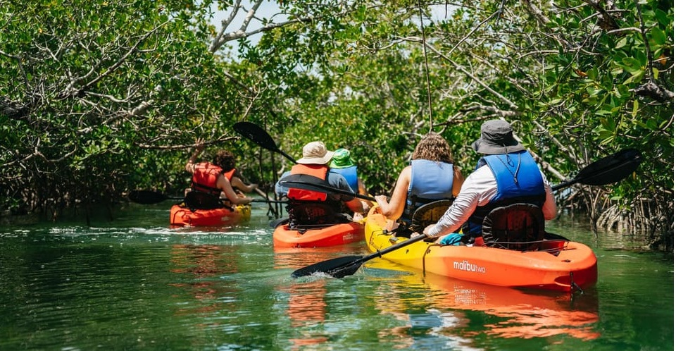 Best Key West Kayaking Tours