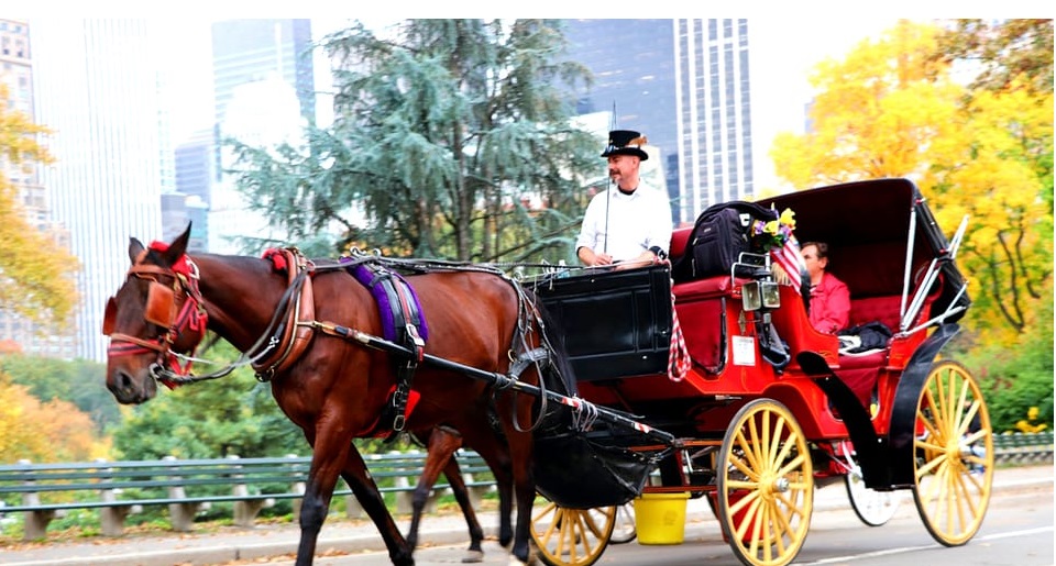 Best NYC Horse Carriage Rides