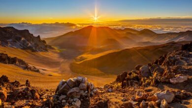 Best Haleakala Sunrise Bike Tours