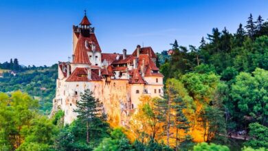 Best Bran (Dracula's) Castle Tours From Bucharest