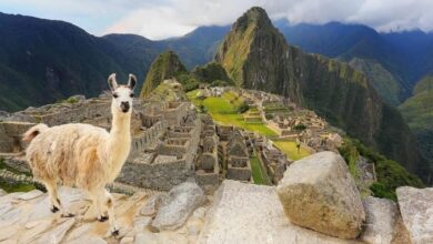 Best Machu Picchu Tours From Cusco