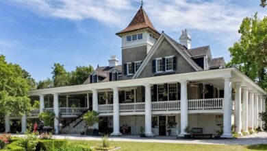 Best Charleston Plantation Tours