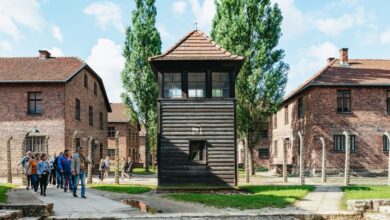 Best Auschwitz Tours From Krakow