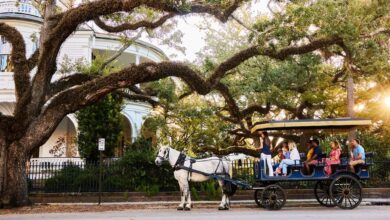 Best Charleston Horse Carriage Tours