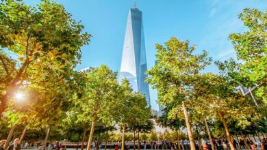 Best New York City Guided Tours
