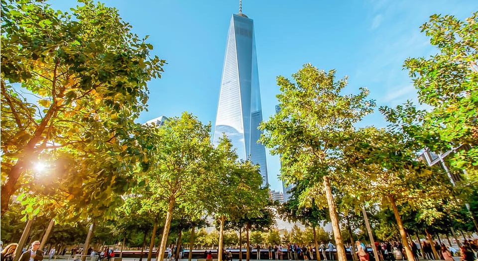 Best New York City Guided Tours