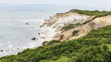 Best Marthas Vineyard Tours From Boston