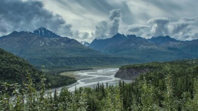 Best Matanuska Glacier Tours From Anchorage