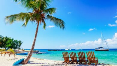 Best Punta Cana Excursions