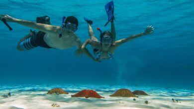Best Cozumel Shore Excursions