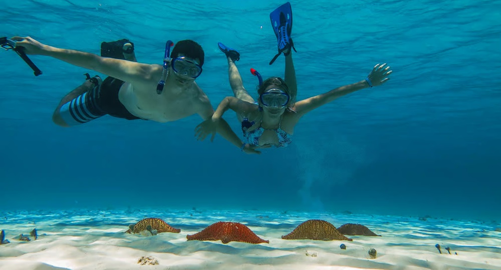 Best Cozumel Shore Excursions