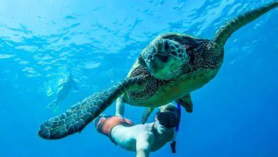 Best San Juan Shore Excursions