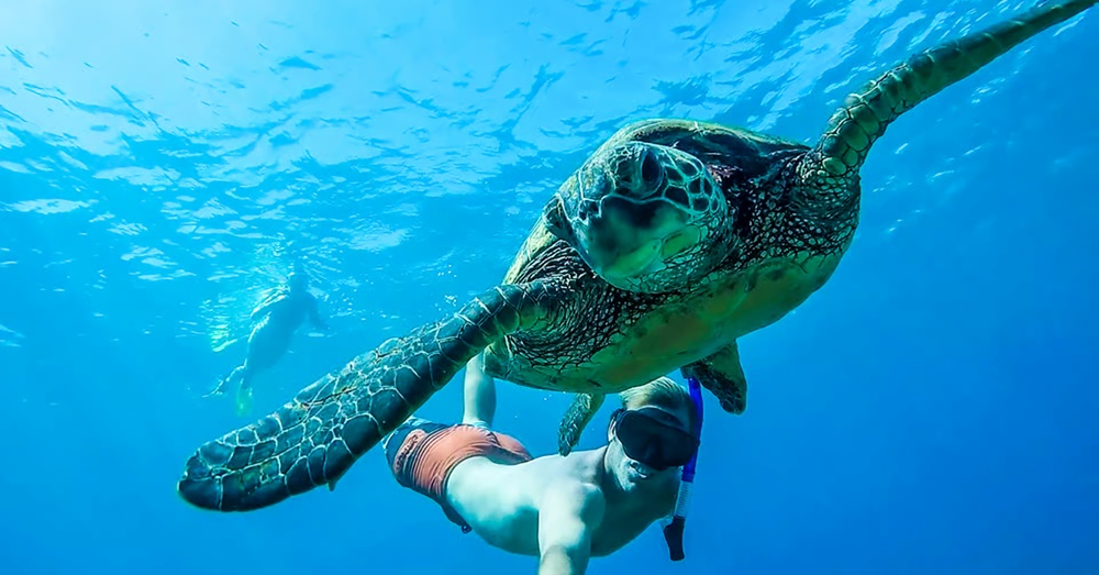 Best San Juan Shore Excursions