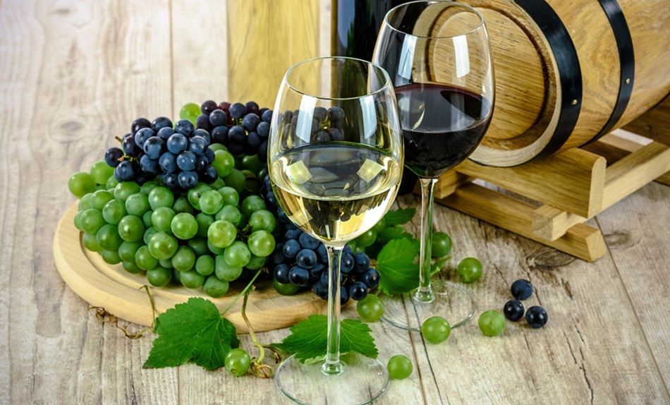 Wine Tasting for Beginners