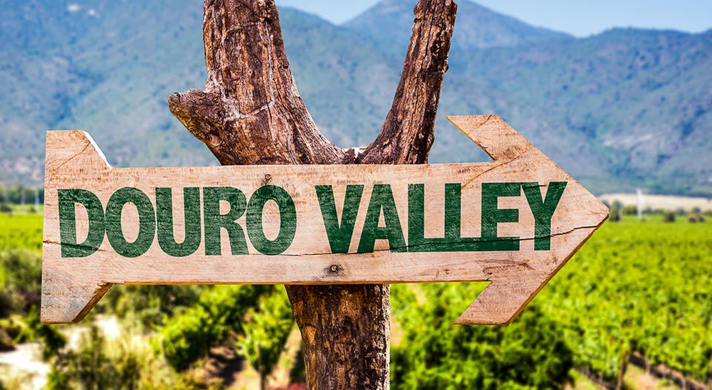 Best Douro Valley Private Wine Tours