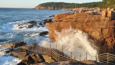 Best Acadia National Park Tours