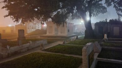 Best New Orleans Cemetery Tours